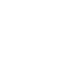 arbre